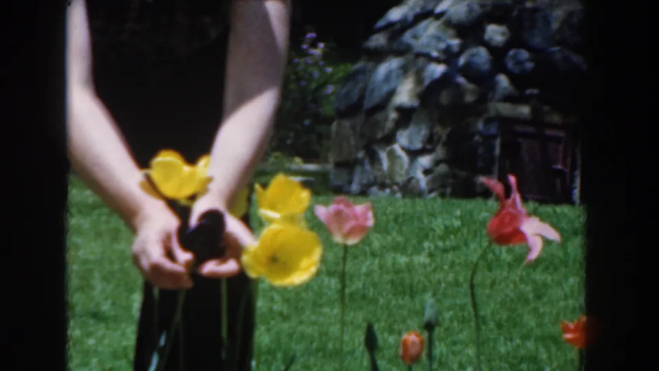 Close home-movie view of a woman's hands gathering flowers among yellow, pink, and red blooms in a 1961 Novi garden.