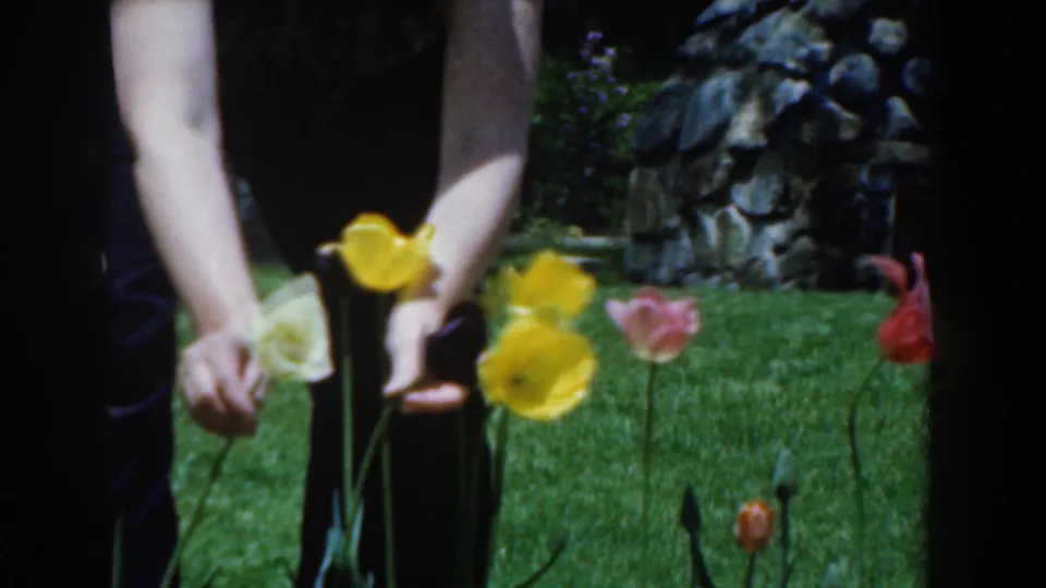 A woman holds picked flowers beside bright yellow blooms in the grassy Novi, Michigan garden, with stonework in the background.