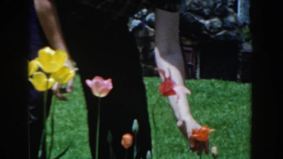 In the garden, the woman's hand reaches toward orange and pink tulips while yellow flowers stand nearby on the lawn.