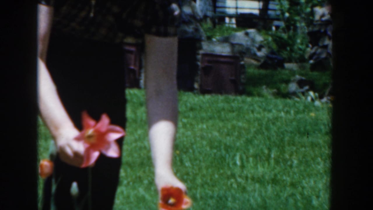 Woman bends near pink and orange tulips on a green lawn.