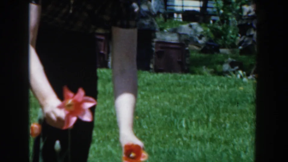 In 1961 Novi, Michigan home-movie footage, a woman in dark pants bends toward colorful tulips on a lawn.