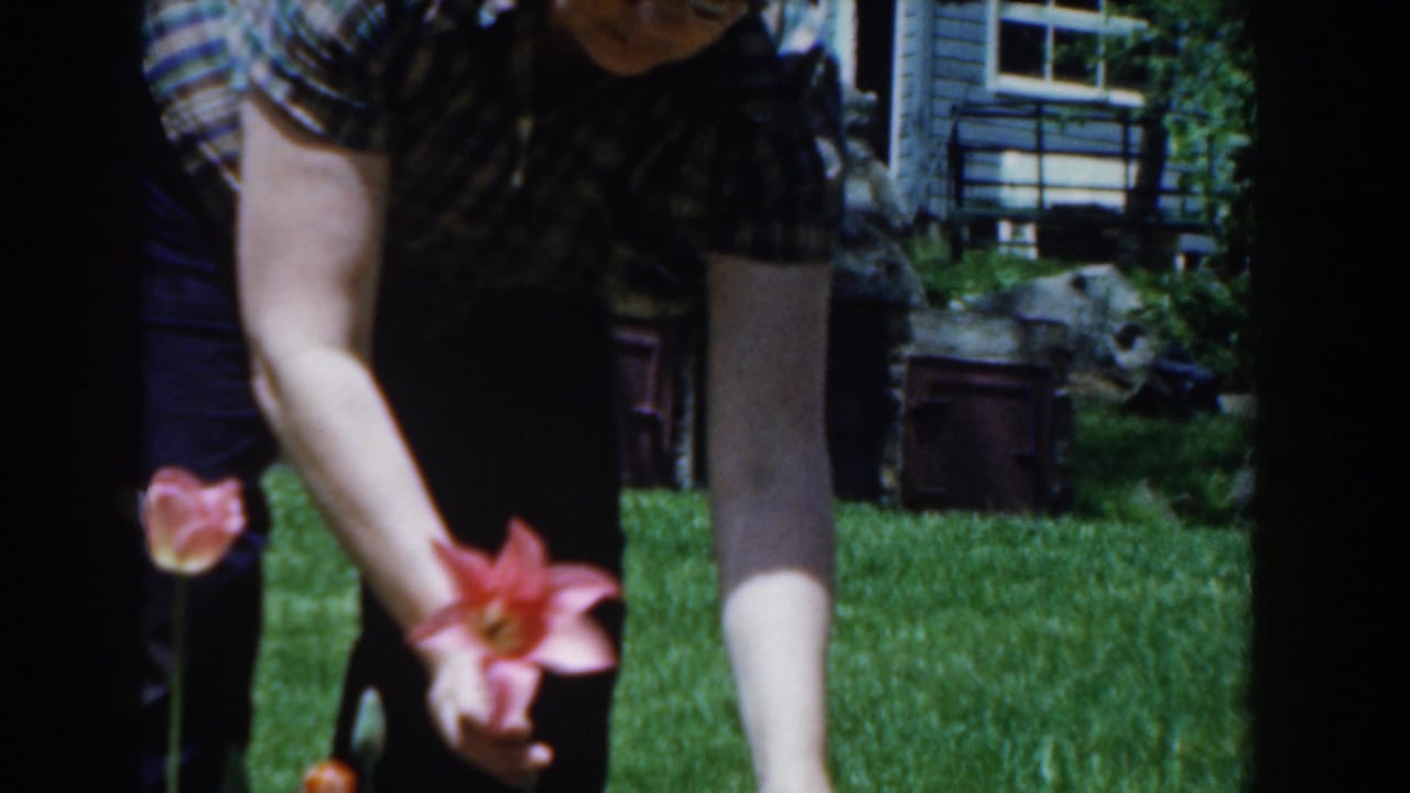 Woman in a plaid shirt reaches down to a pink tulip.