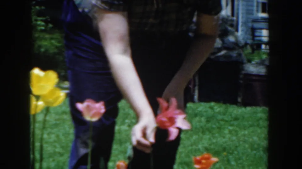 The home-movie frame shows a woman tending pink tulips with yellow and orange flowers visible in the lawn.