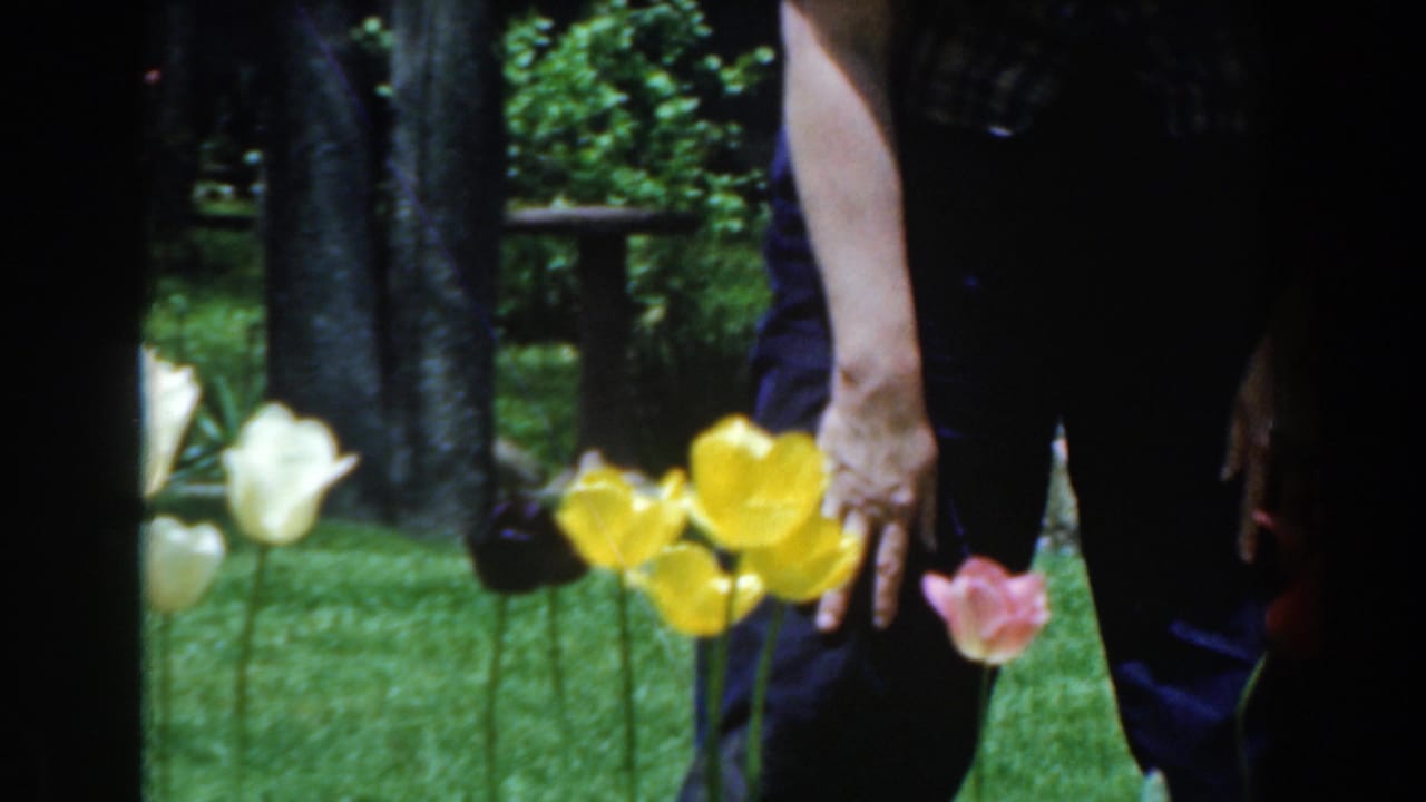 Hands and legs appear among yellow, white, and pink tulips on grass.