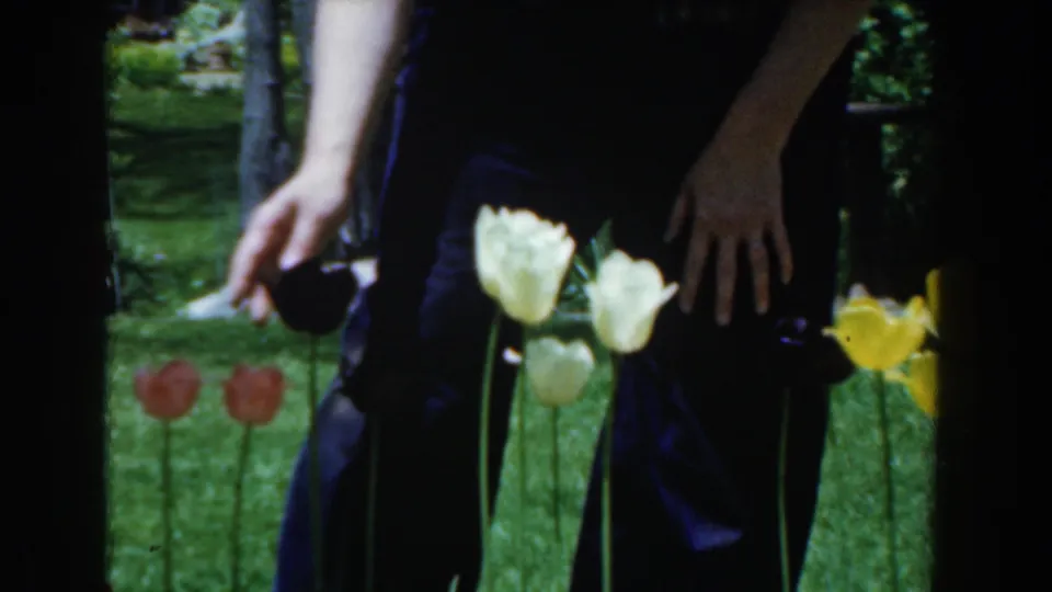The frame shows a person bending close to white and yellow tulips, with red flowers and a leafy yard behind them.