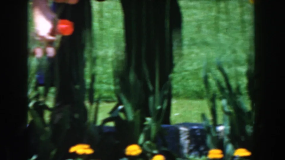 Soft 8mm footage shows tall tulip stems, yellow flowers, and the man's dark clothing in the Novi garden.