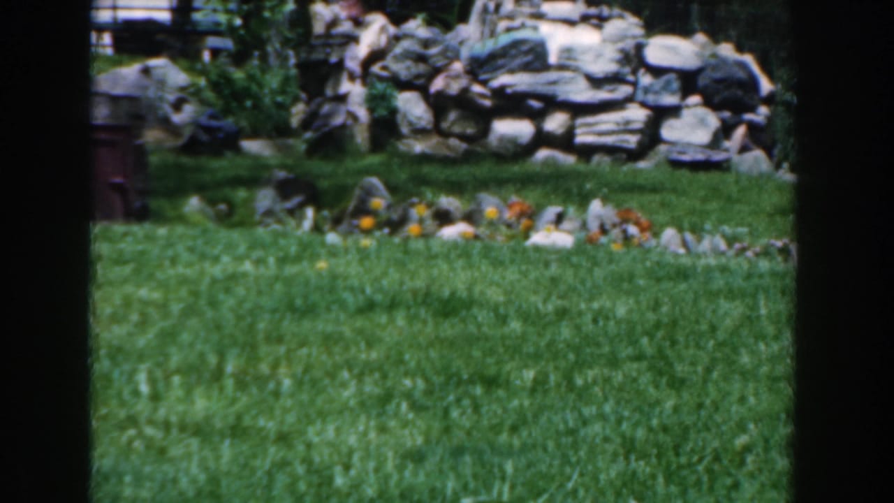 Green lawn with stone wall, plants, and dark vertical film-frame bands.