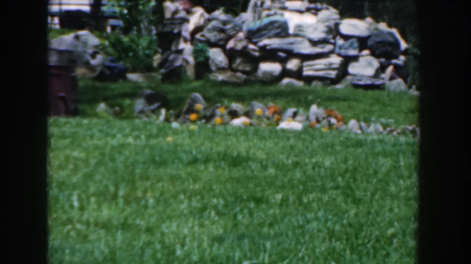 1961 Novi, Michigan garden view with grass, stone landscaping, shrubs, and dark contact-sheet frame divisions.