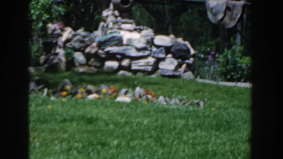1961 Novi, Michigan frame showing a low stone wall, small flower bed, green grass, and surrounding garden plants.