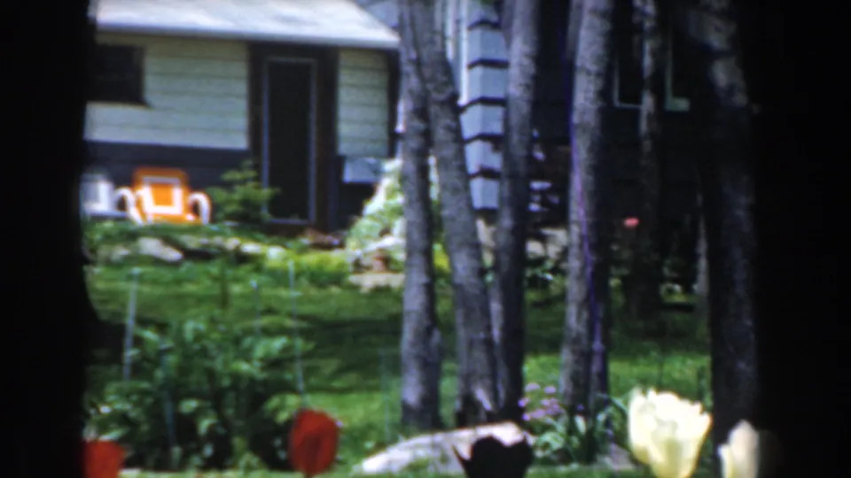 1961 Novi, Michigan frame showing a yard with tulips, trees, garden plants, stone edging, and a light-sided house or shed.