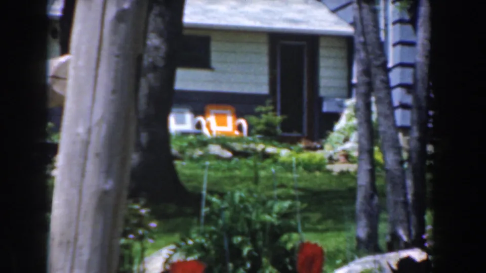 1961 Novi, Michigan home-movie frame showing red tulips, a rustic grey fence, lawn, trees, and a light-colored house in the background.
