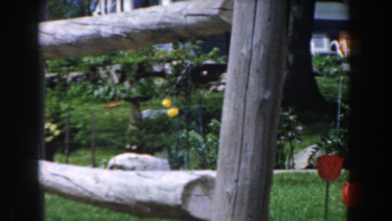 Rustic grey fence and garden beds with trees, lawn, rocks, and a house behind.