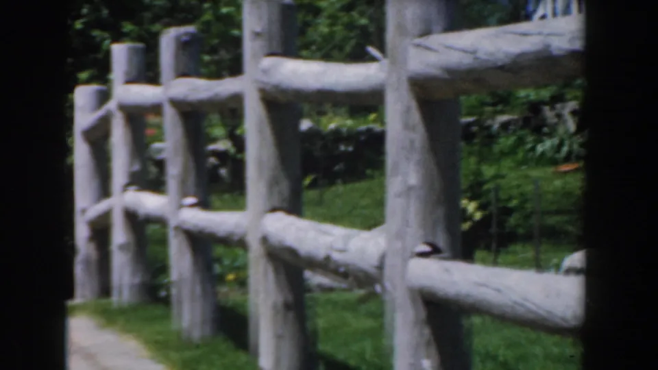 1961 Novi, Michigan home-movie frame centered on a rustic grey rail fence with lawn, shrubs, and red tulips at the edge.