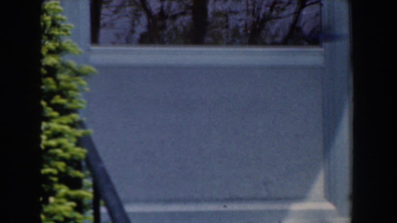 1961 Novi, Michigan home-movie frame showing a house window, a small dark bird shape near the sill, and garden greenery.