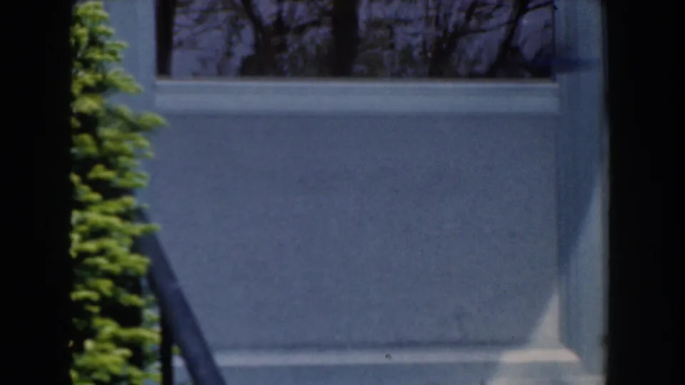 1961 Novi, Michigan home-movie frame showing a house window, a small dark bird shape near the sill, and garden greenery.