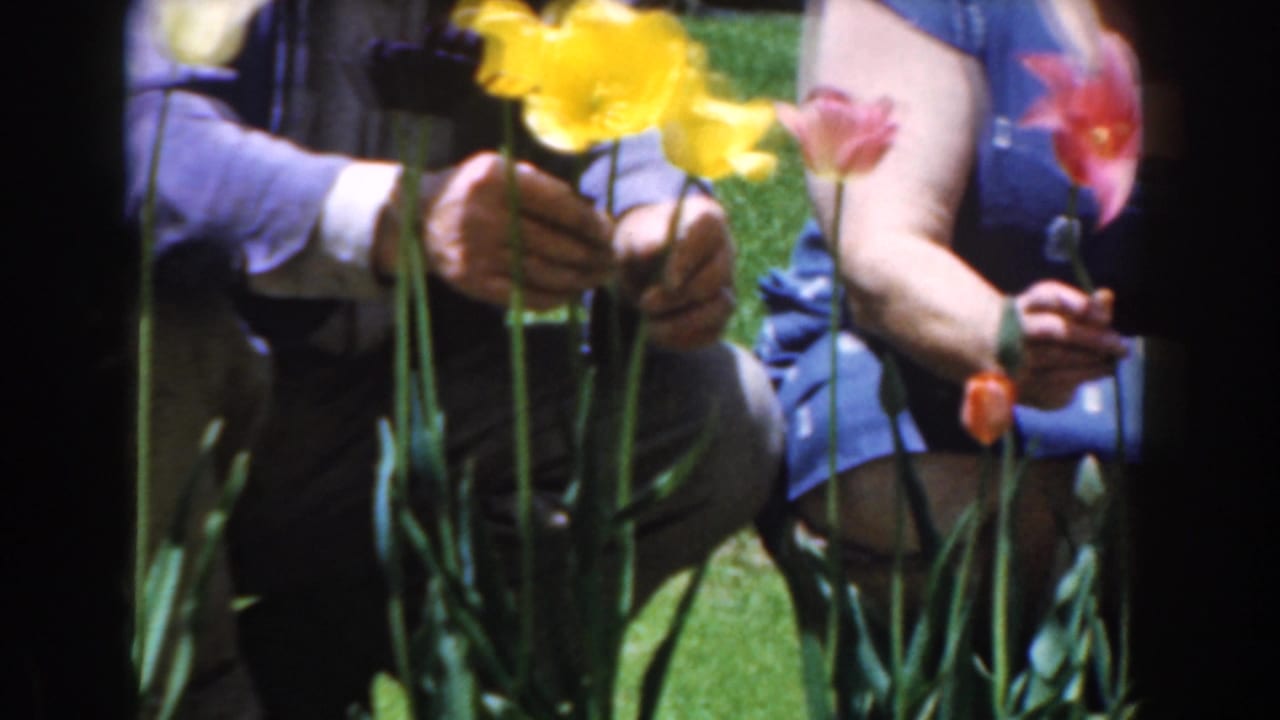 Adult hands hold yellow tulips while another person in blue clothing stands nearby.