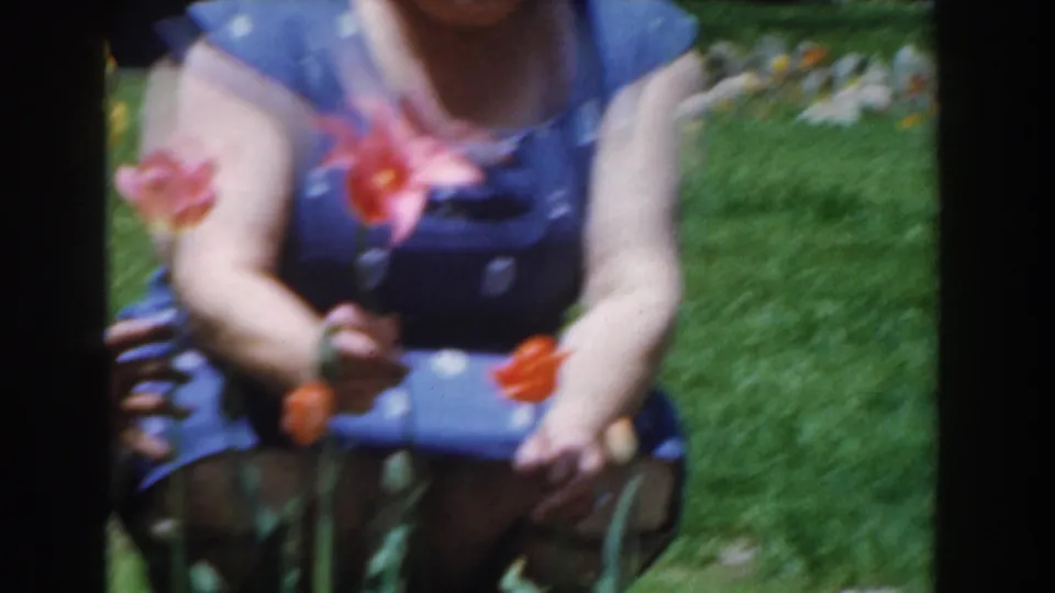 1961 Novi home-movie frame showing a woman in a blue dress close to red tulips and green lawn in a garden.