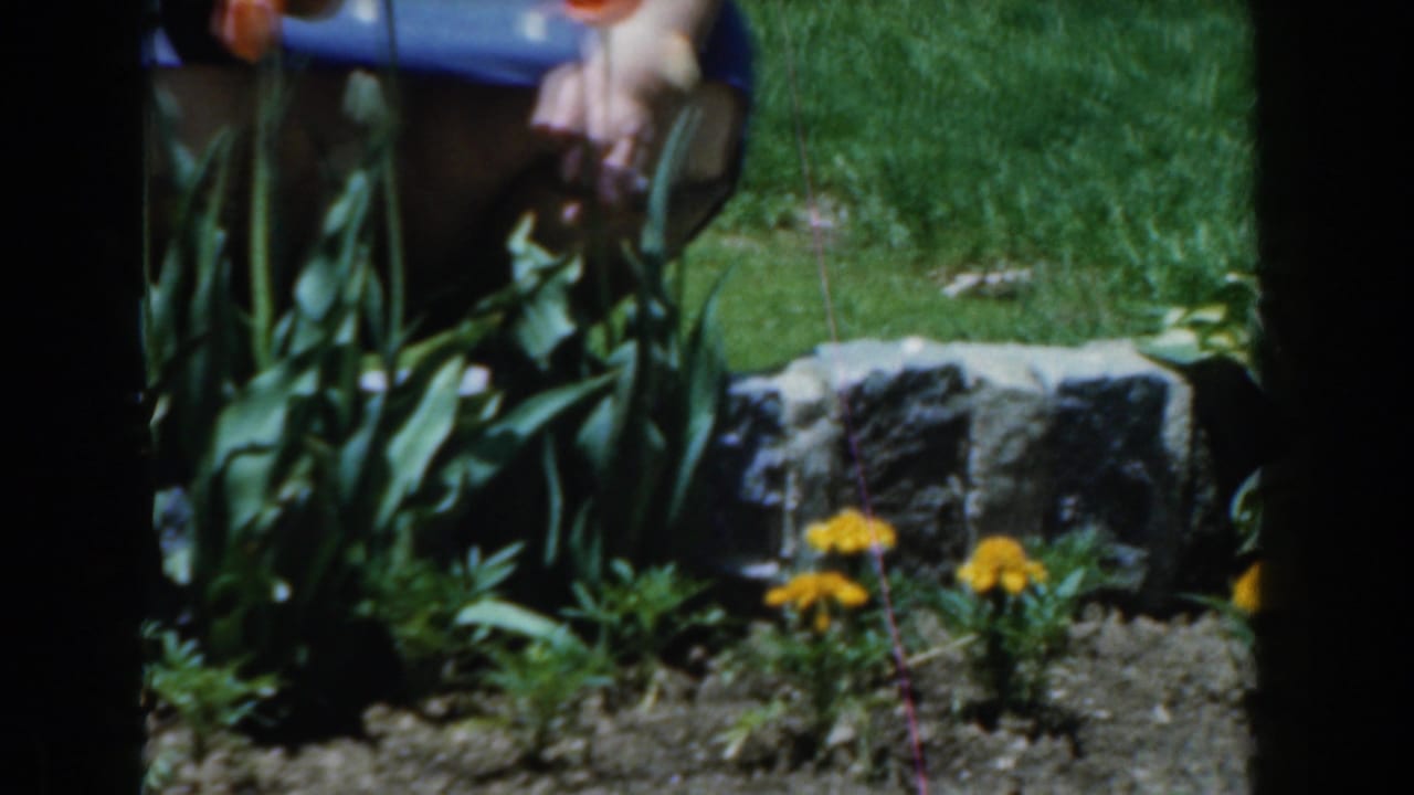 Garden flowers with an adult partly visible near lawn chairs and stones.