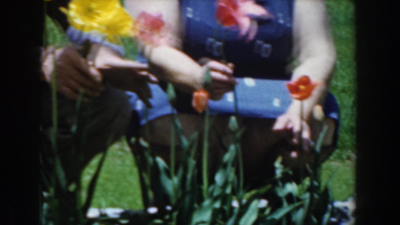 Adults seated close together behind tall tulips in a sunny garden.