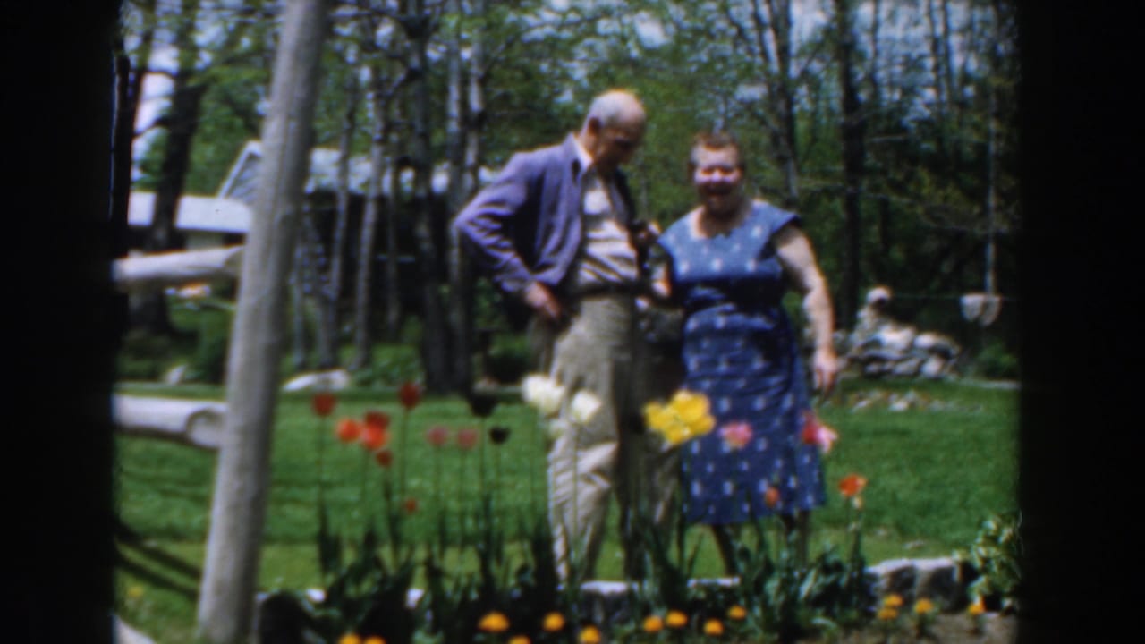 Older couple standing beside tulips in a sunny backyard garden.