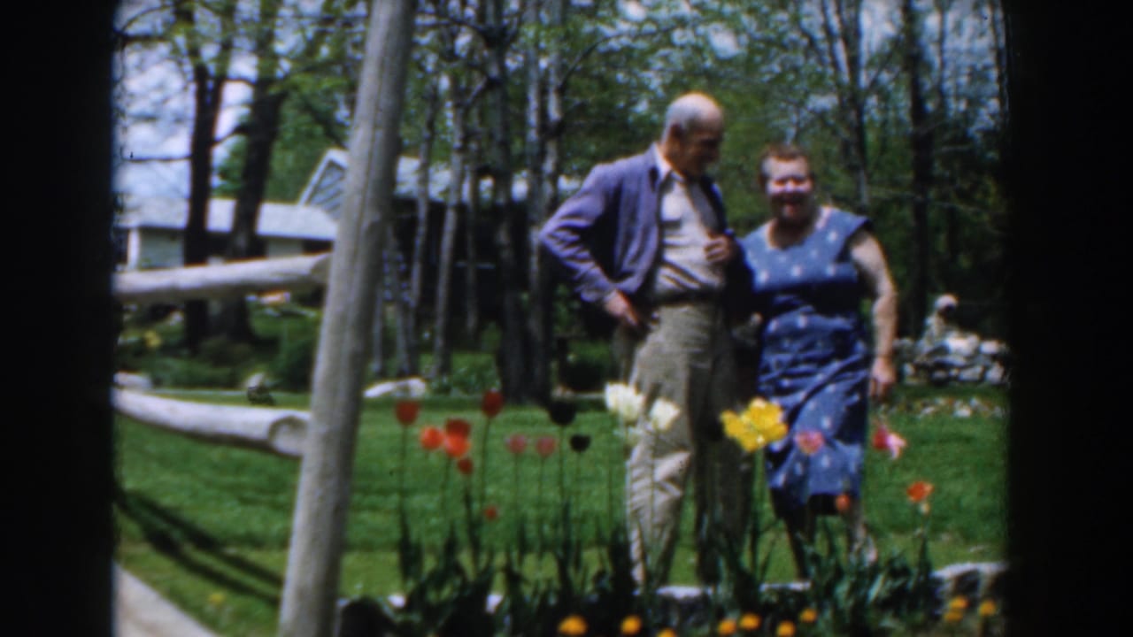 Older man and woman standing near flowers with trees behind them.