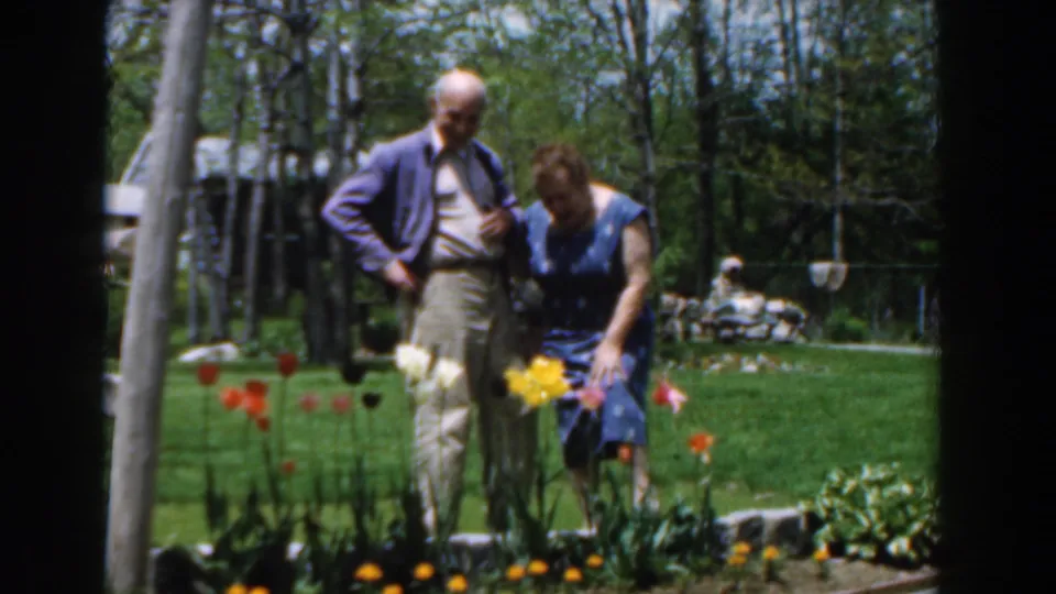 In the backyard garden, the woman bends toward a yellow flower while the man stands nearby in the 1961 Novi, Michigan clip.