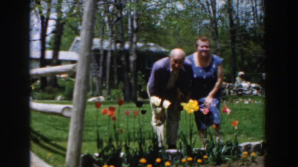 The couple bends forward to look at the tulips, with a split-rail fence and wooded yard visible in the 1961 home-movie frame.