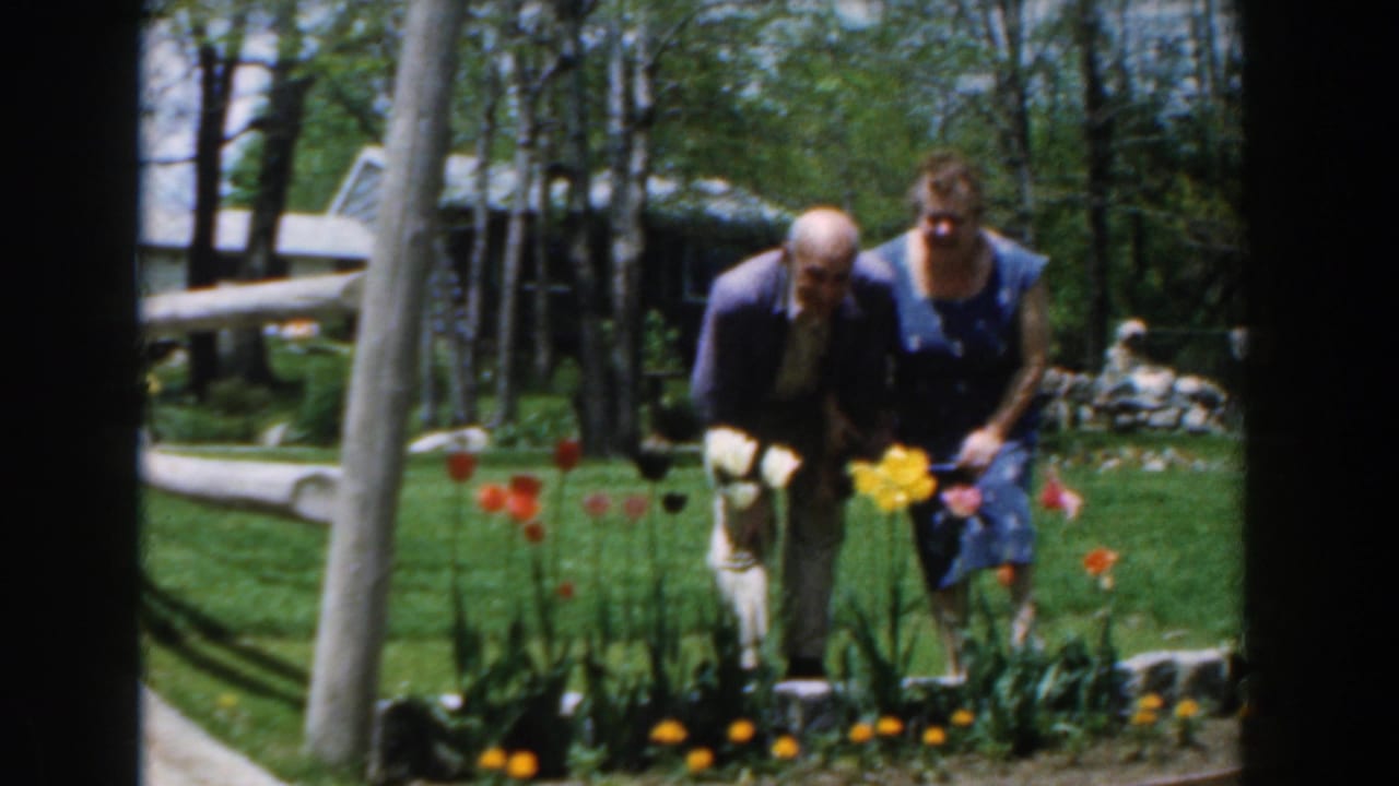 In 1961 Novi, Michigan, an adult couple tends red and yellow flowers in a sunlit front yard beside a green house.