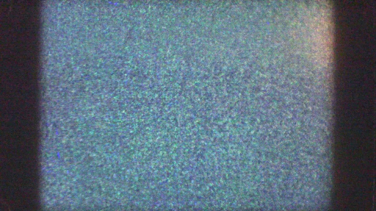 Mostly obscured frame with film grain, dark edge, and a partial wooded trailer-park view.