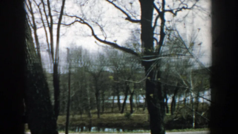 1957 Wisconsin outdoor frame looking past trees beside a brick house toward a pale distant waterline or open field.