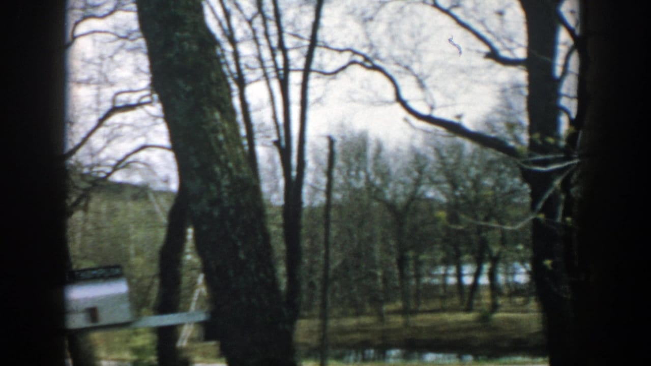 1957 Wisconsin home-movie frame showing bare trees, a white mailbox, yard, and part of a brick house exterior.