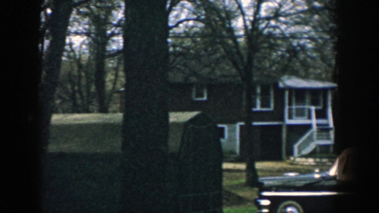 Two-story house behind trees with a dark sedan partly visible in the driveway.