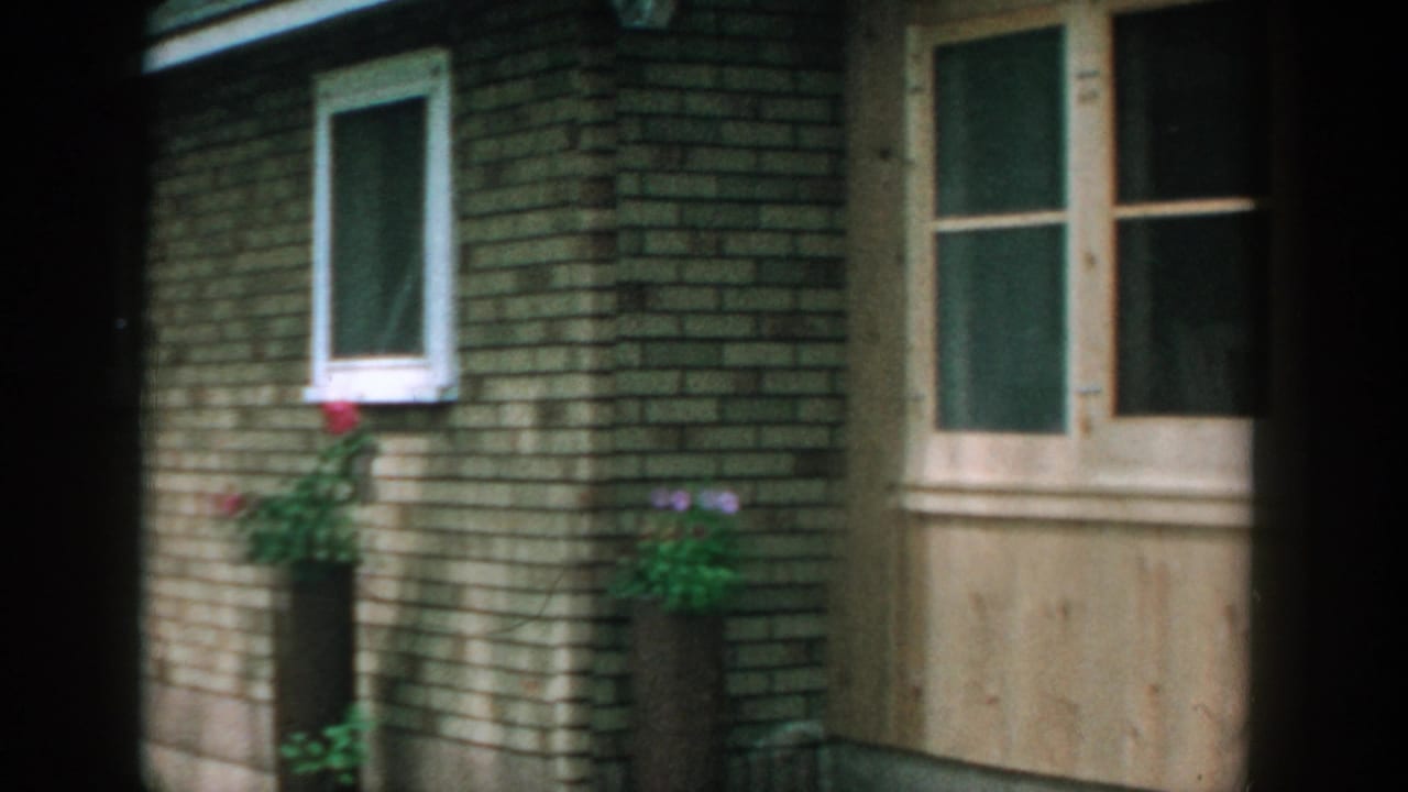 Brick wall, white window, potted plants, and a wooden doorway or panel at the right edge.