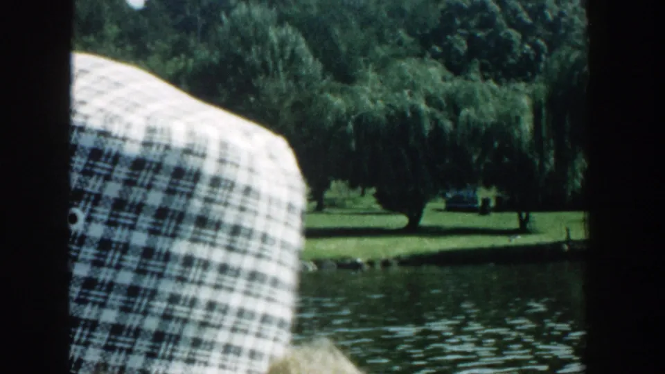 Passenger-view frame from the boat, with a plaid-shirted person close to camera and a green Wisconsin lakeshore beyond.