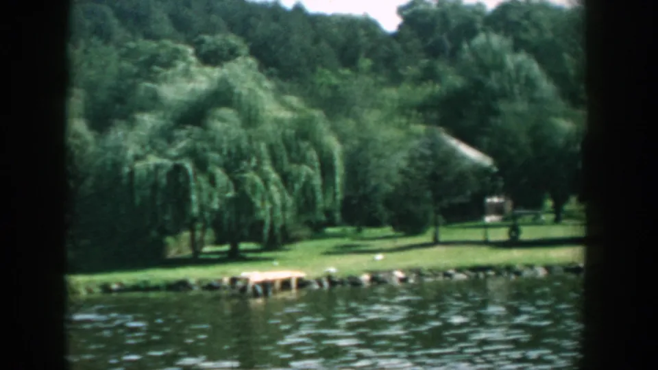 1957 Wisconsin lake view with rippling water, a grassy shoreline, willow trees, wooded background, and a small pale dock or shoreline feature.