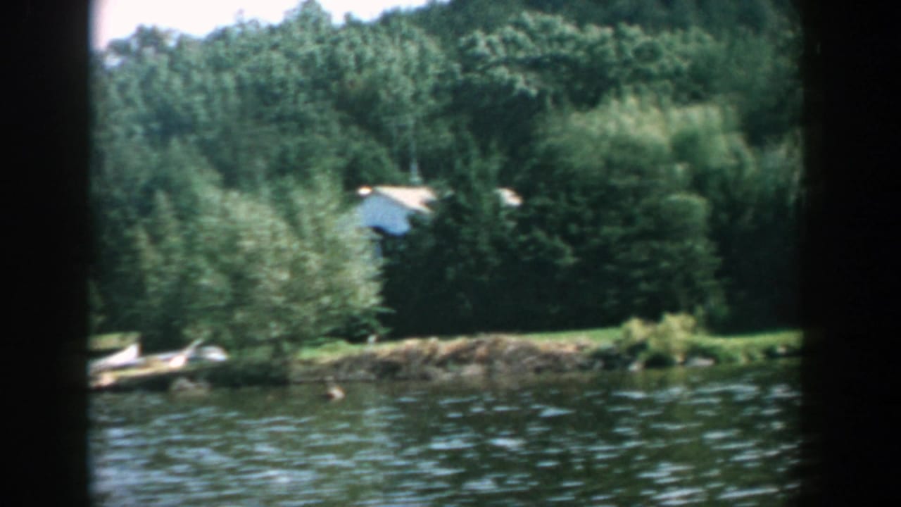 Lake shoreline with dense trees, small dock area, boats, and a partly hidden building.