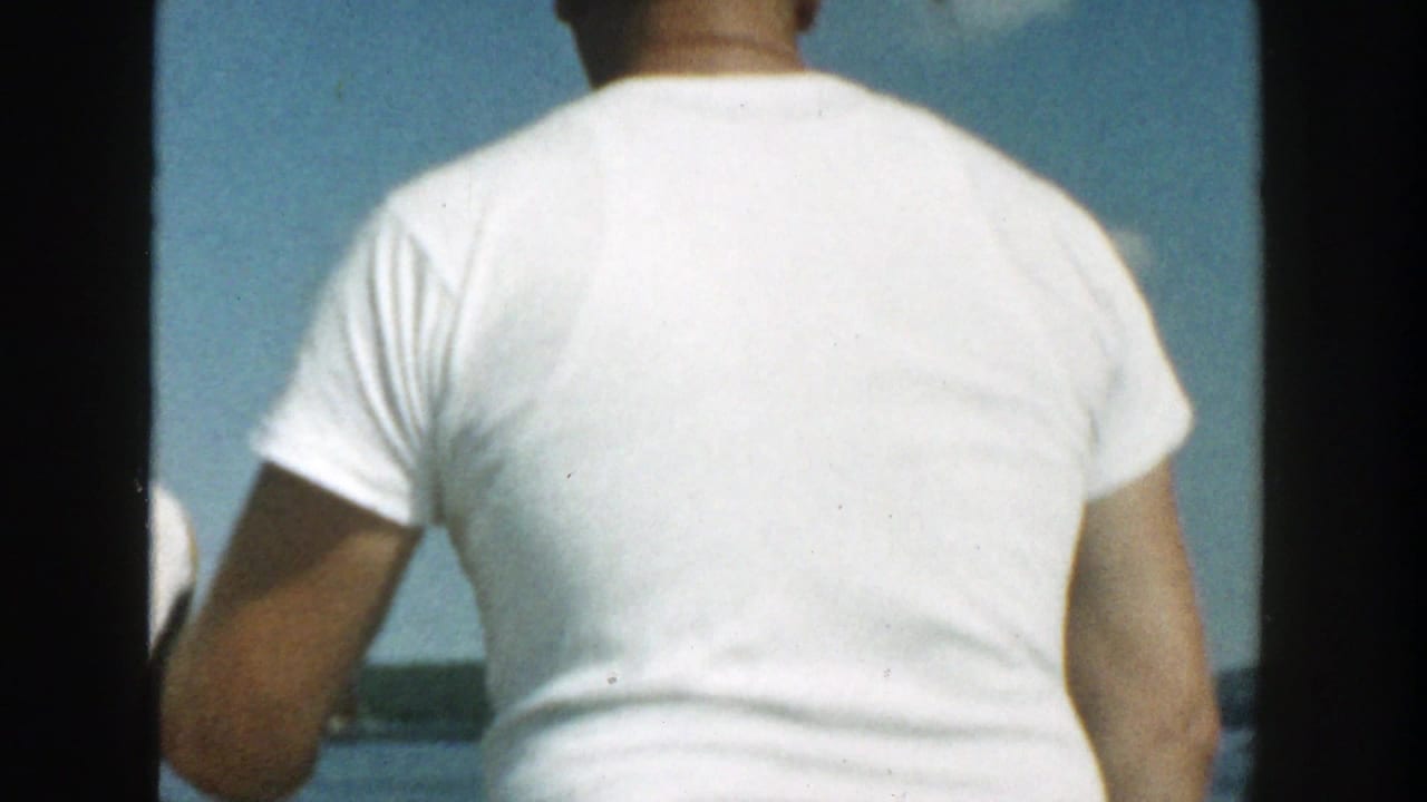 Back view of an adult in a white t-shirt facing open water under a blue sky.