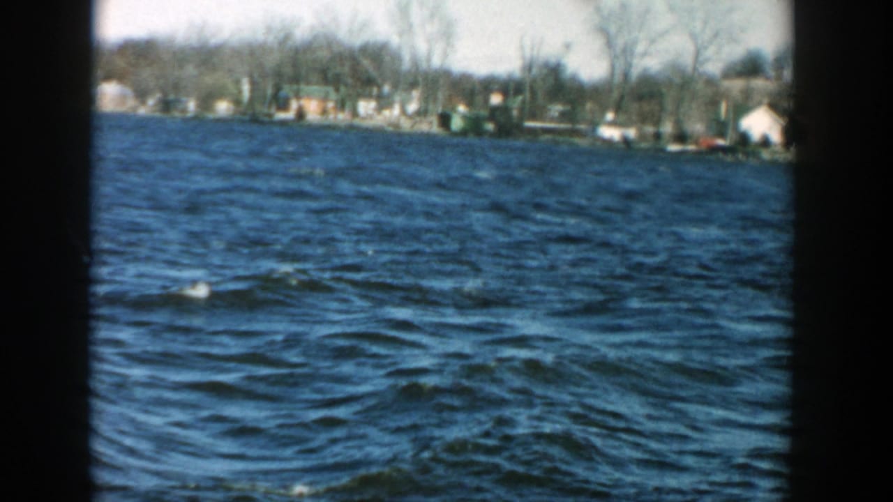 Choppy blue lake water with a distant shoreline and bare trees.
