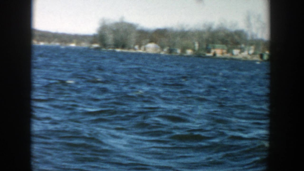 Open blue water with distant houses, trees, and shoreline.