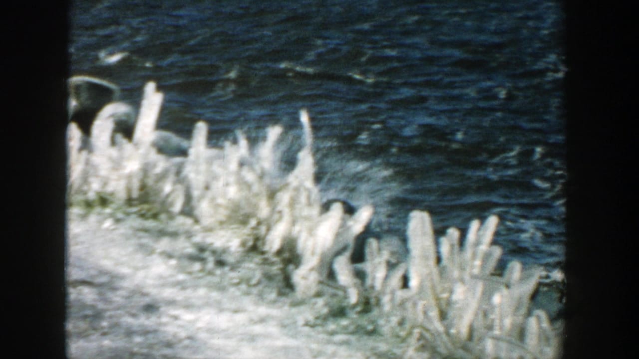 Tall pale ice formations along a river edge with dark water behind.