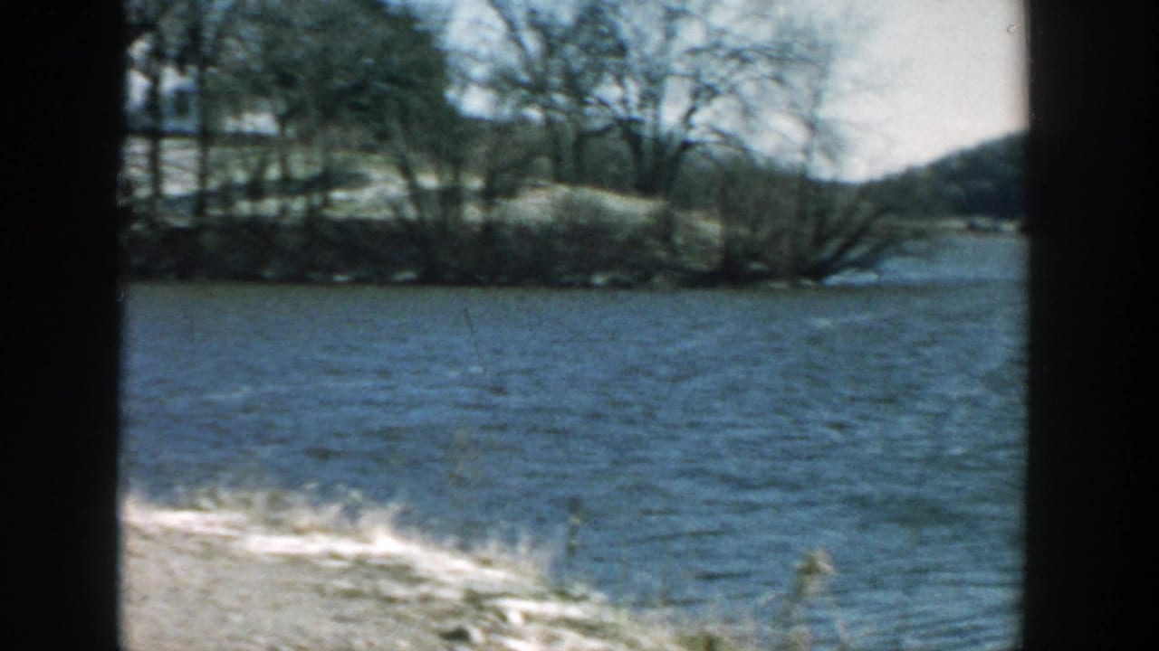 Lakeside view with water, bare trees, shoreline, and a low wooded hill beyond.