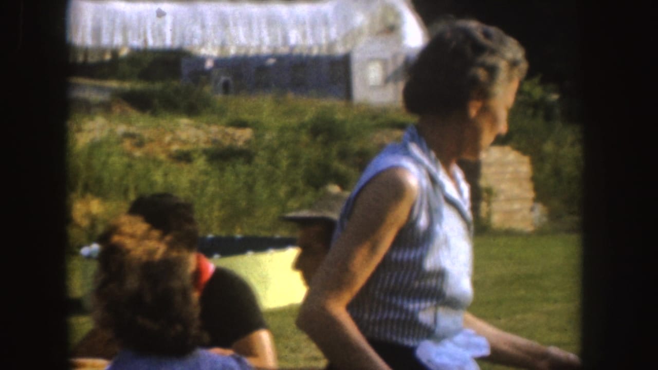 Adults seated at a picnic table in a grassy yard, with an older woman standing beside them.
