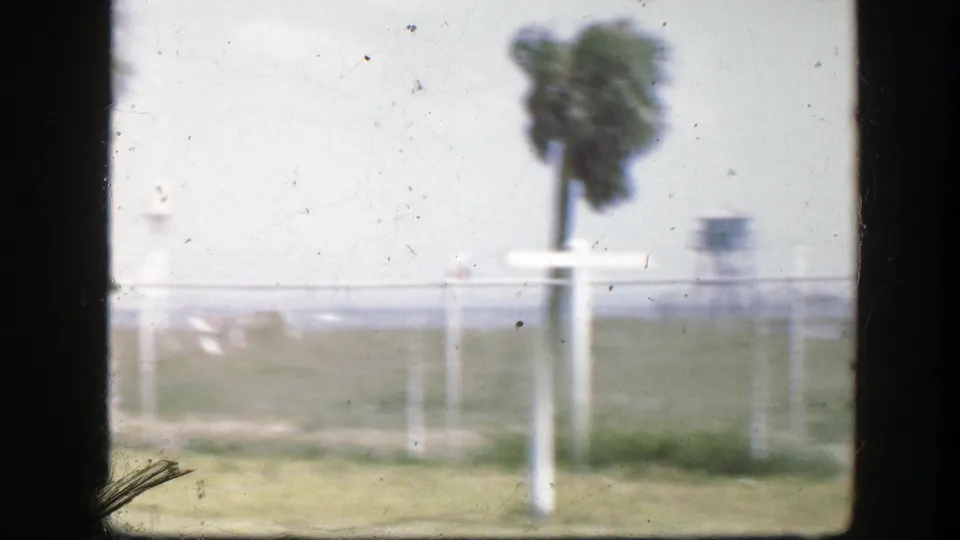 1945 Florida 8mm frame showing a grassy field with white fence posts, a palm tree, pale sky, and distant greenery.