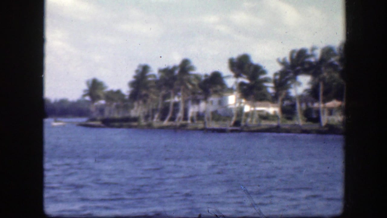 1945 Florida home-movie view of palm trees and low homes along a channel, seen from across the water.