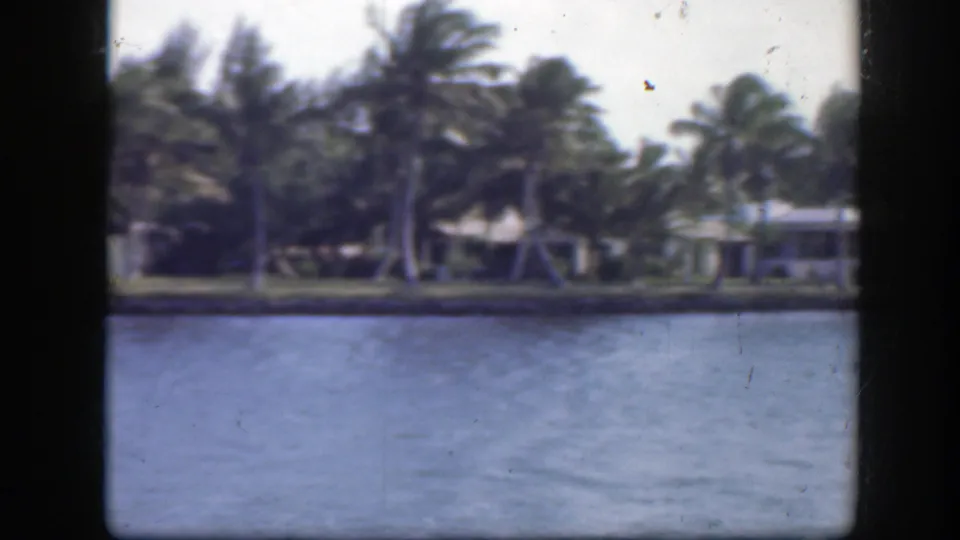 Soft 8mm view of a Florida channel bank with palms and low residential buildings in the background.