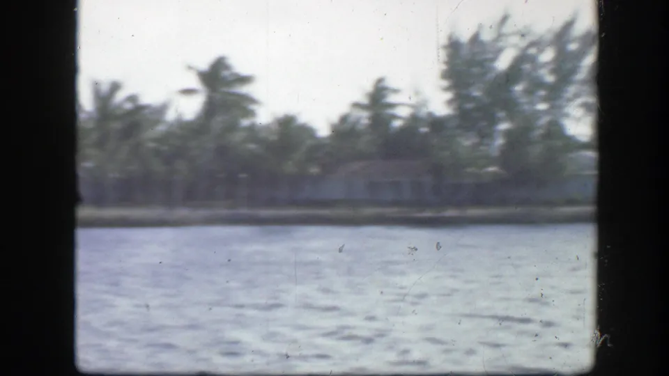 Soft 8mm frame from 1945 Florida showing palm trees, shoreline houses, and water in the foreground.