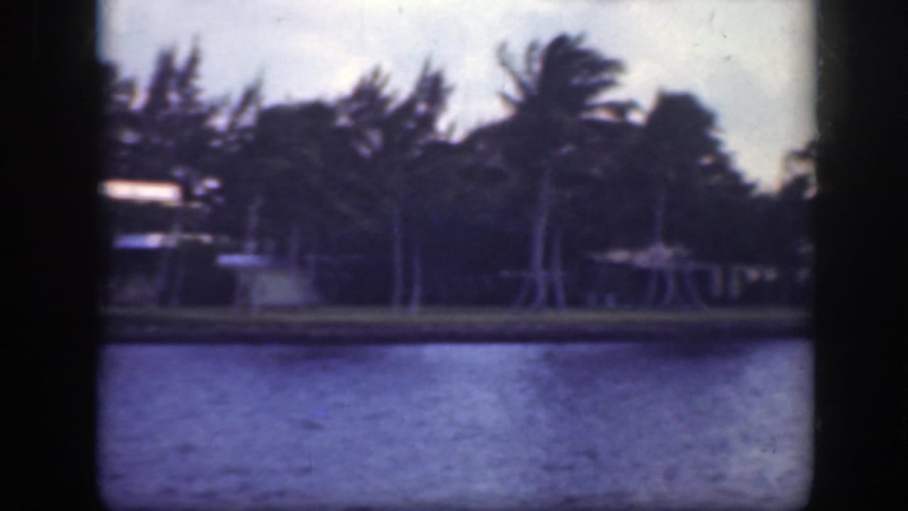 Waterfront with palm trees, low houses, and dark 8mm frame edges.