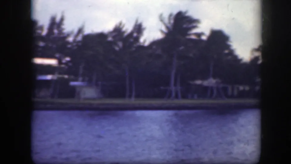 1945 Florida 8mm frame showing rippled water across from palm trees and low houses along the shore.