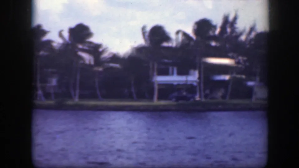 1945 Florida waterfront view with palms, houses, a shoreline road, and a car visible near the bank.