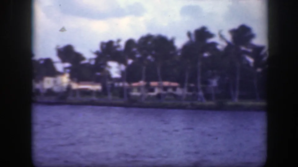 1945 Florida 8mm view of water facing palm trees and low houses along a residential shoreline.